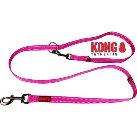 Laisse robuste pour chien en nylon,Rose,Triple laisse réglable,Laisse pour chien,Laisse avec éléments réfléchissants,Longueur : 2 m,Largeur : 25 mm (1/5)