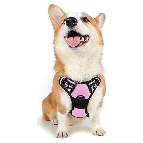 Harnais Chien M Arnais Rose Anti Traction Réfléchissant Gilet Réglable pour Chien, Attache Devant Crochet de Laisse pour Randonnée Trajet Voiture, Bouledogue Français, Berger Australien-Ensoleillé (1/5)