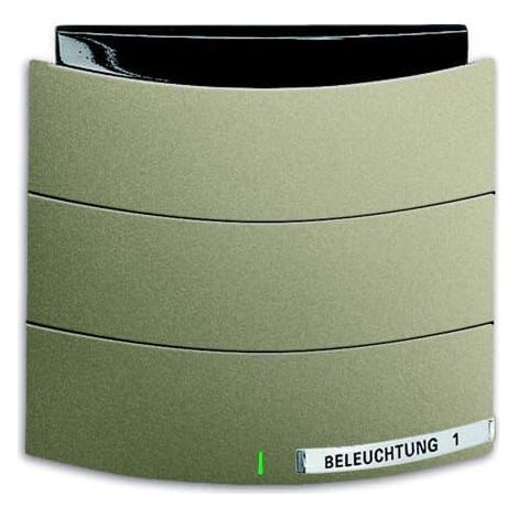 Triton 1 Touche Mf Bcu Et Ir Intégrés Palladium 2CKA006320A0010 ABB 587495
