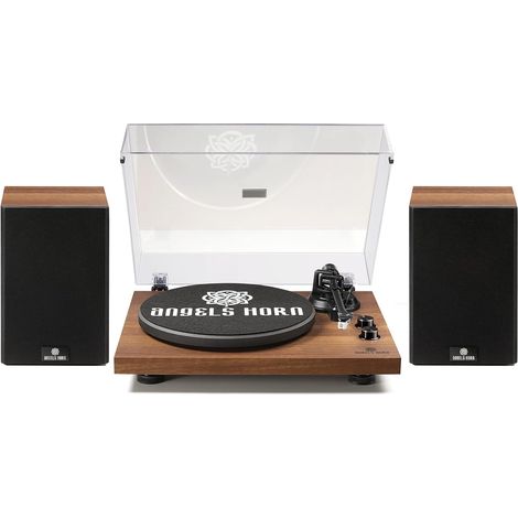 Platine Vinyle Bluetooth Hi-FI, Tourne-Disque avec Enceintes  Préampli phono intégré, cellule MM AT-3600L, entraînement par courroie 33/45 tr/min et contrepoids réglable (1/5)