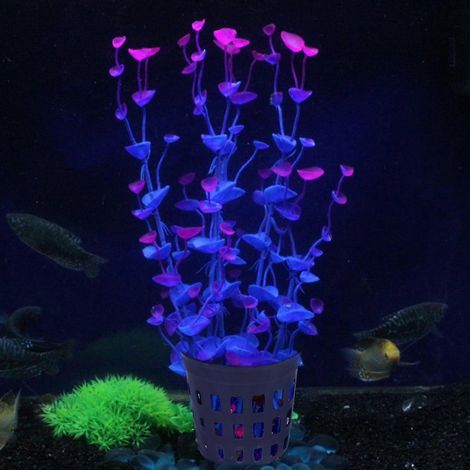 Pot de culture pour aquarium, pot en plastique compatible avec la plantation aquatique, 1 pièce, noir décoratif (1/4)