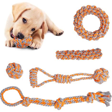 SPANKY Hunde-Zerrset, 5-teilig (1/5)