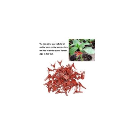 50 clip di supporto per piante, clip da giardino, clip per pomodori, supporti/collegamenti per piante/viticci/rampicanti, tralicci/gabbie, clip di fissaggio per piante rampicanti e ortaggi, strumenti 