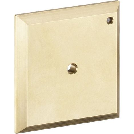 hansgrohe Placca di comando iControl Cromo, 15956000