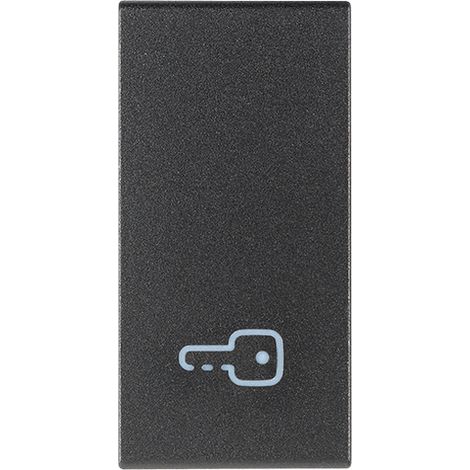 VIMAR - 19021.P Bouton 1M avec symbole de clé, gris