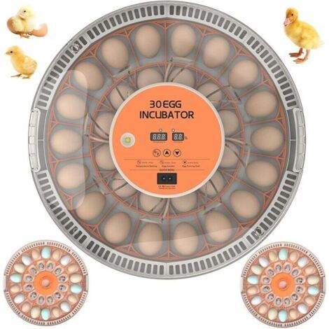Incubateur pour 30 œufs, vue à 360°, avec retournement automatique des œufs, contrôle de la température, mirage des œufs par LED, affichage de l'humidité, pour débutants, fermes, enseignement et m (1/4)