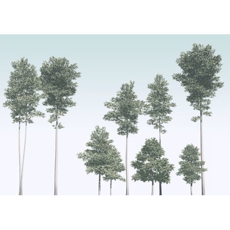 Papier peint panoramique naturel Pins (1/4)
