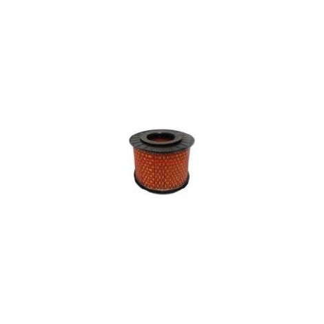 Filtro carburante aria HATZ rasaerba tosaerba 100018