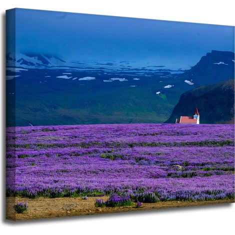 Leinwanddruck Natur Lavendelfeld 50x40 cm Lila Blüten