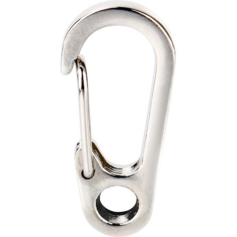 Mousqueton en Acier Inoxydable pour Randonnée et Camping - Anneau Porte-Clés à Détachement Rapide (1/5)