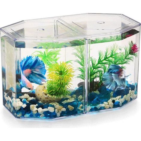 Miniatur-Tisch-Aquarium: Kleines Betta-Aquarium mit herausnehmbarer Trennwand für Betta und Goldfische – für Anfänger und Kinder (1/5)