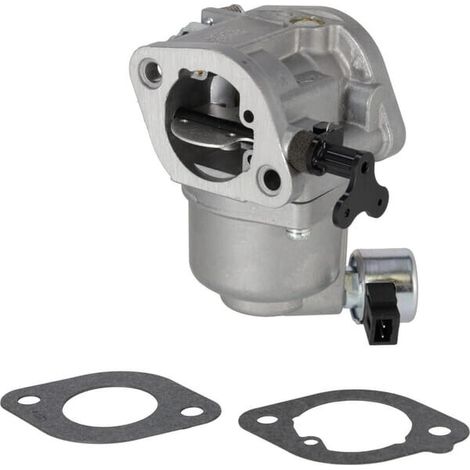 Carburador BRIGGS & STRATTON 596033 (1/2)