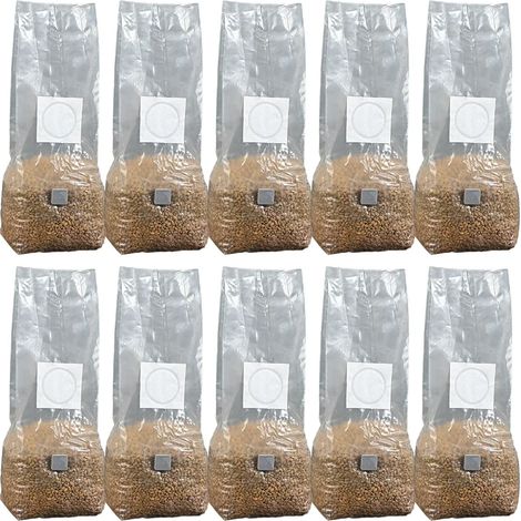 (10 pièces) 10 sacs de culture de champignons à haut rendement en PP stérilisé, hydratés, avec filtre pour substrat et mycélium. (1/4)