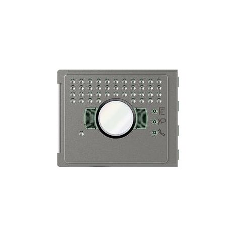 Frontale modulo Audio/Video grandangolare Robur Bticino 351305