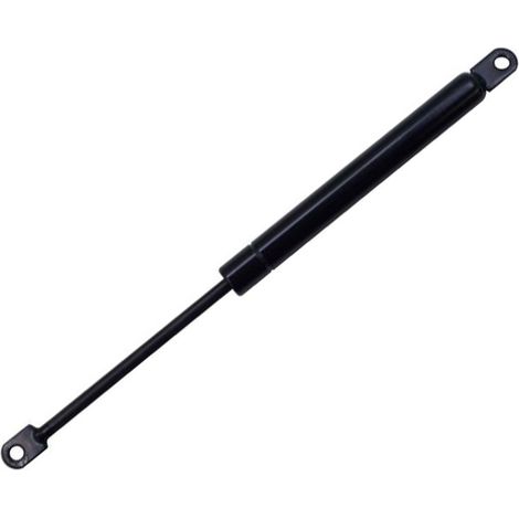 Gasdruckfeder ds=6 Hub=100 L=265 F=300N für BK-Kessel - 76953 (1/2)