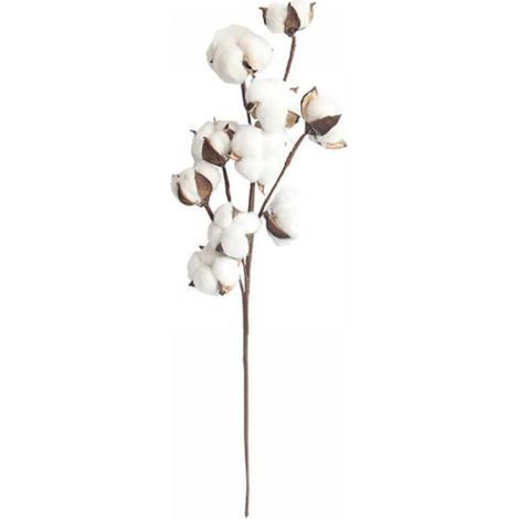 Branches de coton blanc naturel de 53 cm, garniture pour vase style champêtre, centre de table de mariage (1/5)