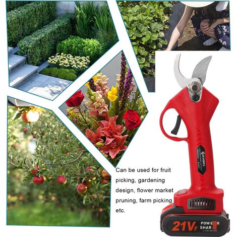 Élagueuse électrique sans fil 21V sécateur coupe-branches efficace taille arbres fruitiers bonsaï jardinage paysager (1/5)