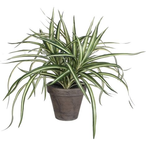 Mica Dracaena weiß im grauen Topf 34 x 40 cm Kunstpflanzen