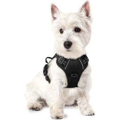 Harnais pour chien noir taille S poitrine 34-63 cm 1 pièce réglable rembourré gilet pour chien gilet en polyester pour animaux de compagnie (1/5)