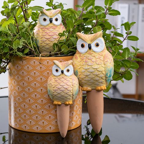 Arrosoir automatique en terre cuite forme hibou lot de 4 couleurs capacité 150ml irrigation lente (1/5)