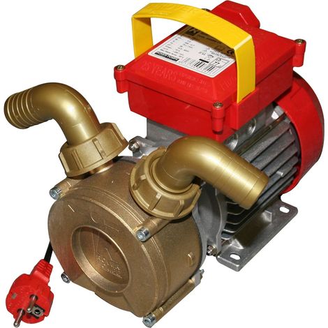 Pompa elettrica da travaso rotazione reversibile 650 W raccordi 30 mm - Rover
