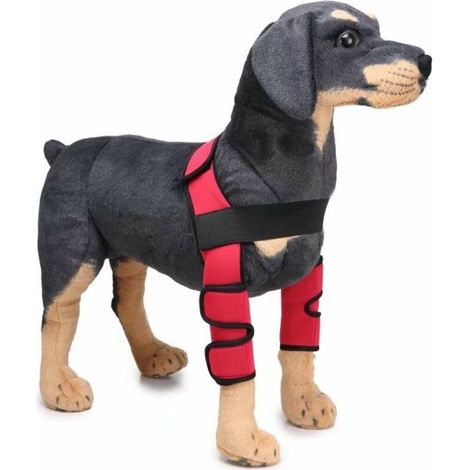 Fournitures pour animaux Genouillères pour chiens Jambes de chien Jambes de chien Protecteur pour animaux de compagnie Chirurgie du chien Housse de protection pour blessures (Rouge S) (1/5)