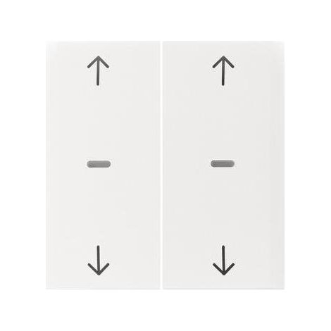 Berker KNX S.1 ABD.2F.PWS GLÄNZ. (80961389) (1/5)