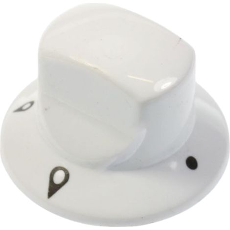 Bouton blanc polaire