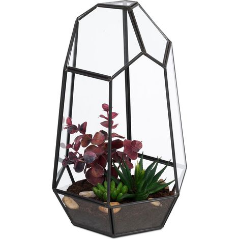 Terrario geométrico de vidrio para suculentas, 25 cm (1/5)