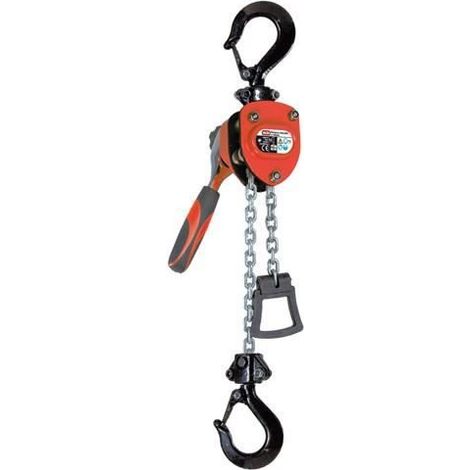 Palan à chaîne manuel 250 kg 1650138 VALEX