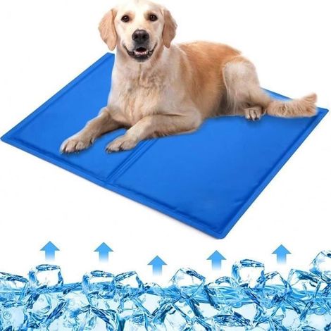 (50x40cm-Bleu)Tapis de Refroidissement 50 x 40 cm - Gel Auto-rafraîchissant - Bleu (1/5)