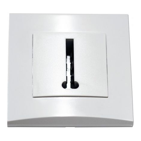Prise téléphone blanche conjoncteur 8 plots en T encastrée fixation vis complete avec plaque ALTERNATIVE ELEC AE52010-P (1/4)
