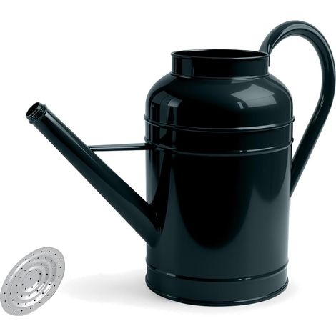 Arrosoir de 9 l avec douchette argentée, acier galvanisé, vert foncé, pour intérieur et extérieur, arrosage du jardin et des plantes