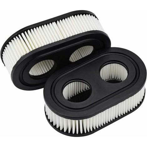 [MAI USATO]Filtro aria per tosaerba 2 pezzi per Briggs & Stratton 550E-550EX 798452 593260 (1/5)