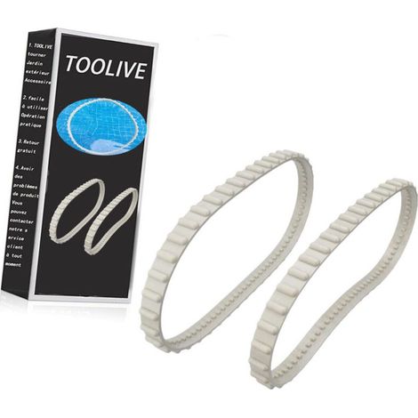 Accessoire robot piscine - Filtres pour Tiger Shark - Par 2 de Hayward (1/5)