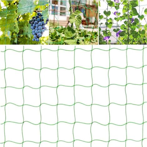 Filet pour Plante Grimpantes, 1.8m3.6m Filet Treillis pour Jardin Exterieur, pour Récolte Concombres, Tomates, Légumes(Vert) (1/5)