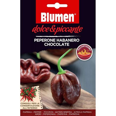 BUSTINA CON SEMI DI PEPERONE HABANERO CHOCOLATE PICCANTISSIMO (1/2)