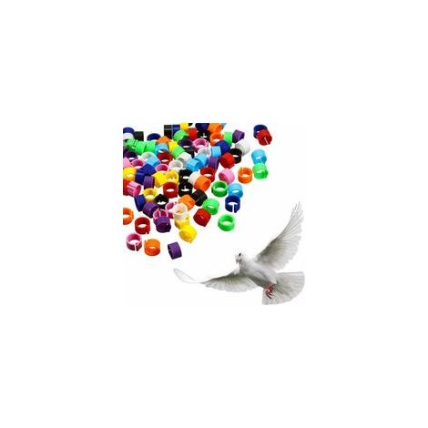 Lot de 300 bagues de patte multicolores 8 mm pour oiseaux, pigeon, clip, couleur aléatoire – (1/4)
