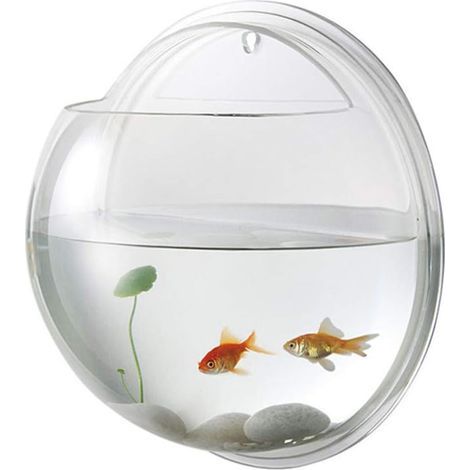 Wall-Mounted Acrylic Aquarium, Hanging Tank, Hydroponic, for Fish and Plants, Indoor Decoration (1/5)