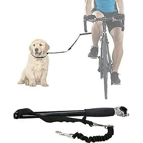 1 laisse pour chien à vélo (clip non rotatif), mains libres, avec guide de distance pour l'entraînement. (1/5)