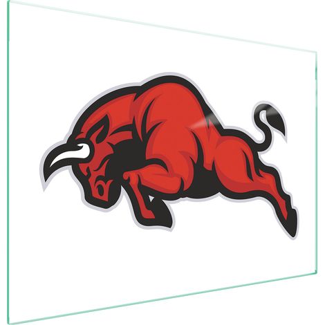 GLASSCHUTZPLATTE FÜR HERD 70x52 BYK (1/5)