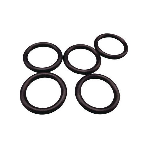 Remeha Joint torique 15,1x2,7 (5x), S54771