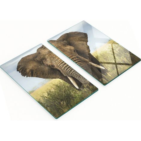 Tablas de cocina de vidrio duraderas y elegantes con estampado de elefantes en la sabana, 2x30x52 cm.
