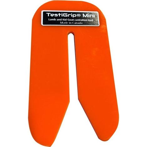 Mini testi grip pour agneaux UKAL (1/4)