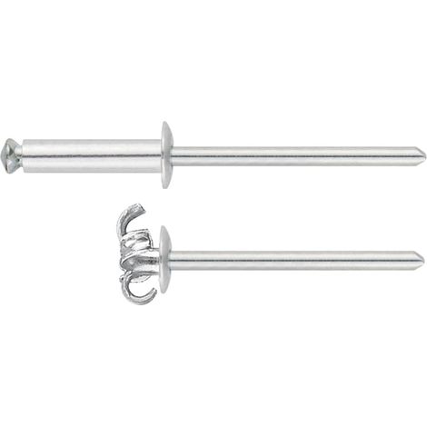 RE-FL - RIVETTO ALLUMINIO FLORE, TESTA CUSCINO 4,8X50,0 ( 150 pz.)
