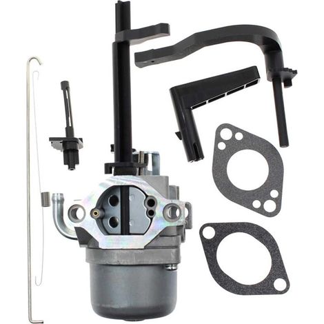Carburateur 591378 pour balayeuse à neige 699958 796321 696132 696133 générateur (1/5)