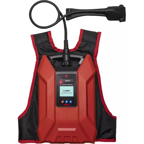 batteria zaino bluebird 43.2v 18ah (1/2)