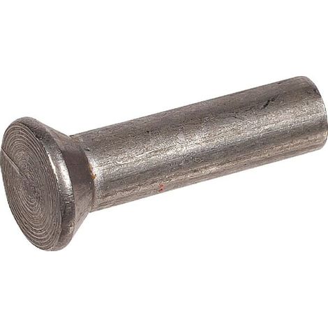 Rivet à tête fraisée AGRIA AGW39842