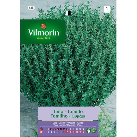 Vilmorin aromatische Thymiansamen S-1 538, 1 gr