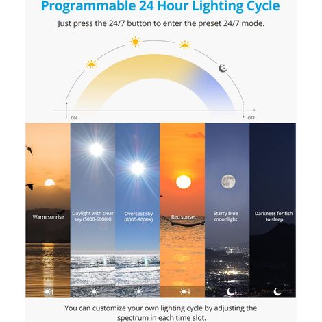 Éclairage LED pour Aquarium Rampe Lumineuse Programmable 24/7 avec Télécommande Spectre Complet pour Plantes Aquatiques et Poissons